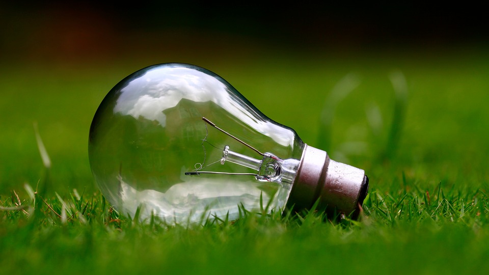 Light bulb - vegan energy