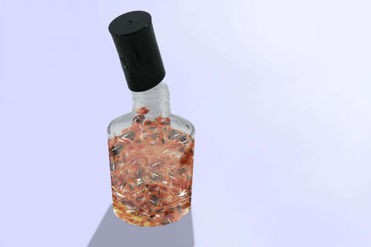 Bugs in a nail varnish bottle against a grey background