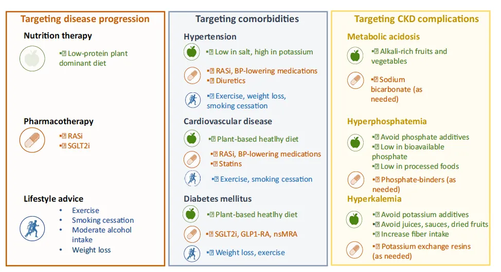 diet patterns and kidney disease infographic