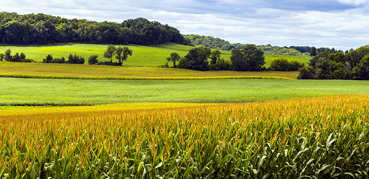 Farmers should move away from dairy into agriculture