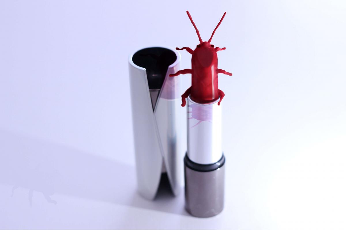 Bug shape on the end of a red lipstick against a white background