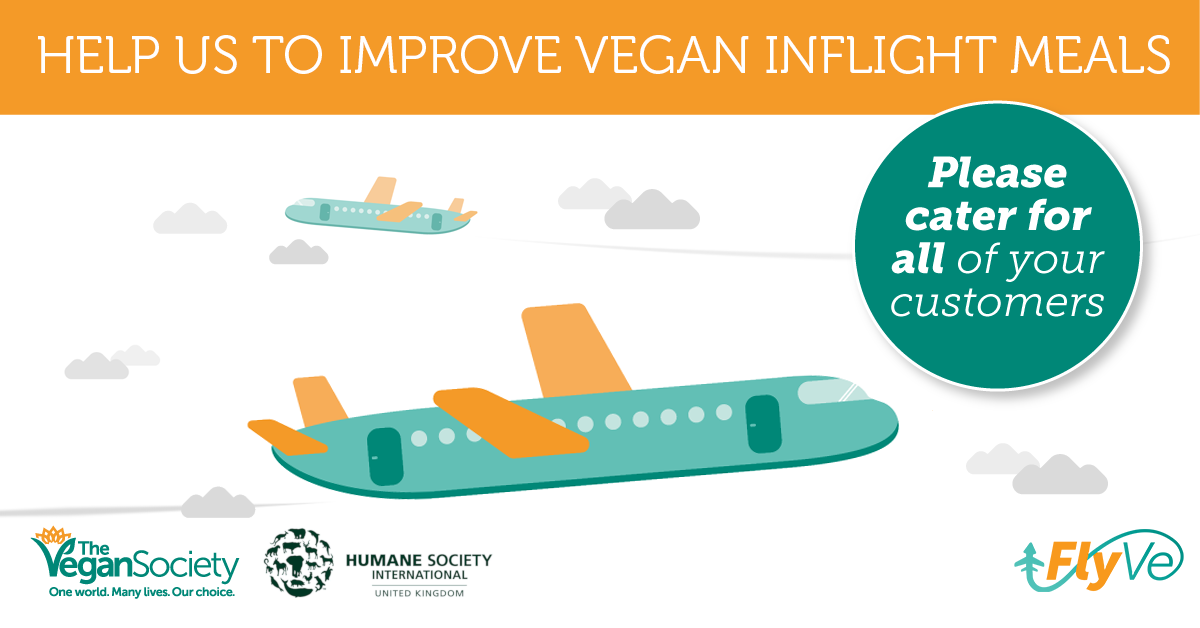 FlyVe Vegan on the Go