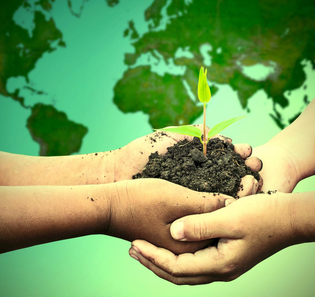 Holding a plant before the globe