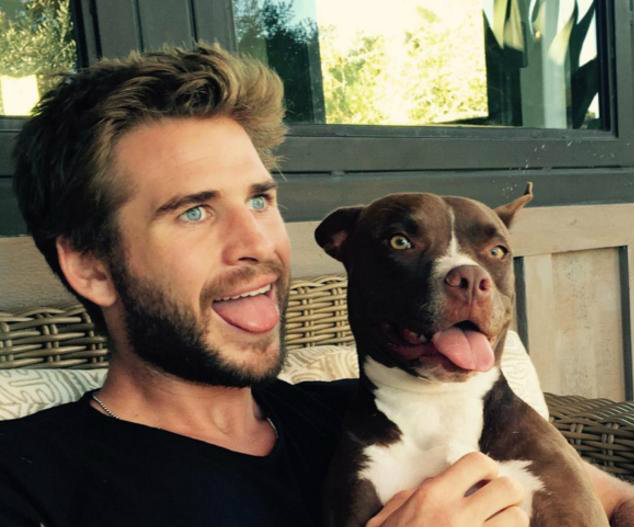 Actor Liam Hemsworth goes vegan