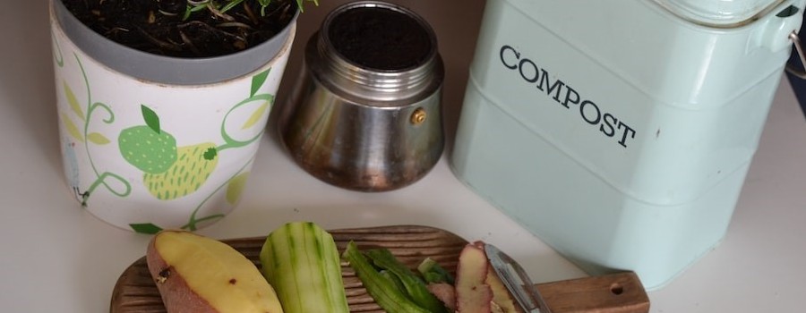 photo of peeled vegetables next to compost bin and plant