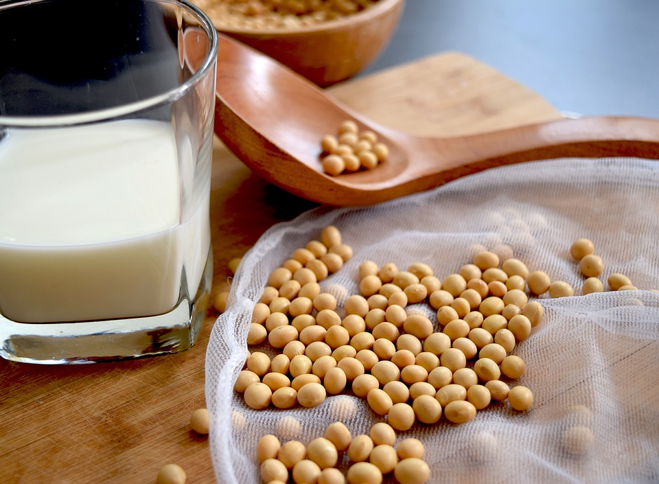 Soy beans and milk