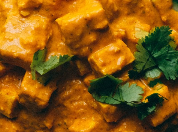 close up of tofu korma