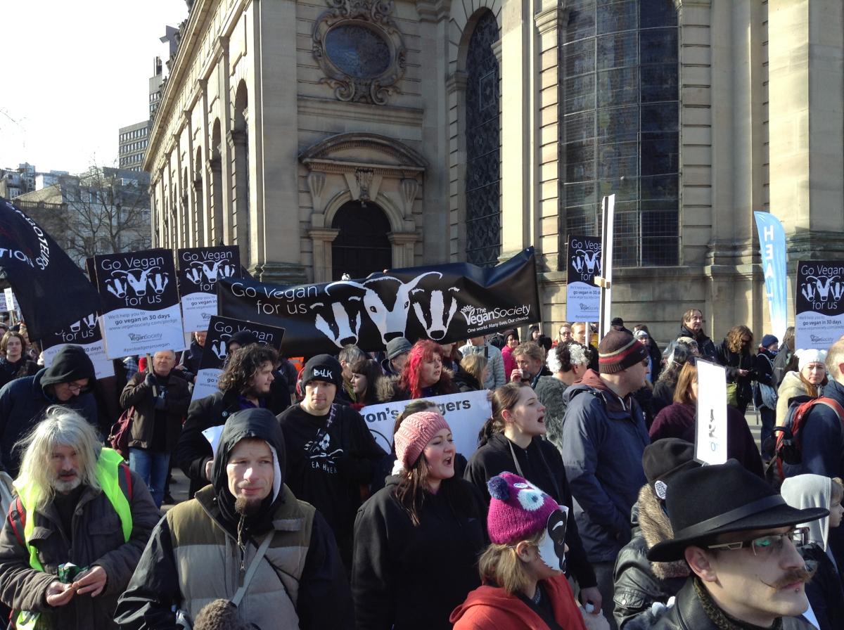 The Badger Cull March, Birmingham UK