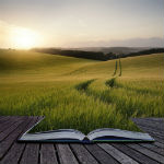 book on a veranda with grass growing from it