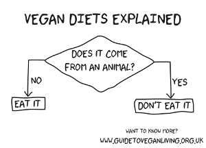 Vegan diets explained graph